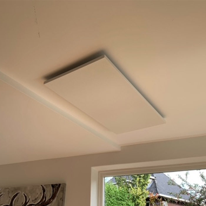 Ecosun E1000 Metaal Infrarood Paneel 1000watt (120x85x3)